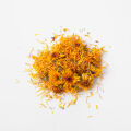 Calendula Calendula Officinalis 3