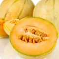 Meloun Cucurbitaceae family 3