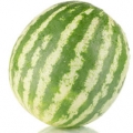 Vodní meloun Cucurbitaceae familly 3