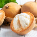 Santol  3