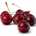 Kyselá třešeň family Rosaceae, genus Prunus 3