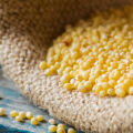Millet  3