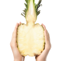 SugarLoaf Pineapple Ananas comosus 3