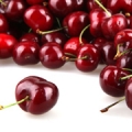 Třešňový květ family Rosaceae, genus Prunus 3