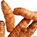 Kurkuma Curcuma longa 3