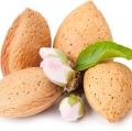 Mandloň Prunus dulcis 3