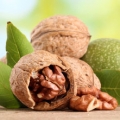 Vlašský ořech Genus: Juglans 3