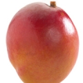 Mango květ Mangifera indica 3