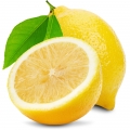 Limoncello 3