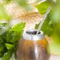 Maté  3