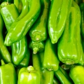Zelená paprika Capsicum annuum 3