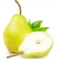 Hruškový květ Rosaceae 3