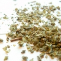 Brutnák lékařský Borago officinalis 3