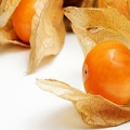 Mochyně Physalis Peruviana 3