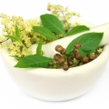 Hena Lawsonia inermis 3