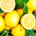 Bergamot Citrus bergamia 3