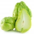 Čajot Sechium Edule 3