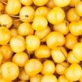 Maraschino třešeň  3